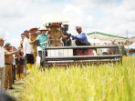 Wakili Sumsel, Petani OKI Panen Raya Serentak Bersama Presiden Secara Virtual